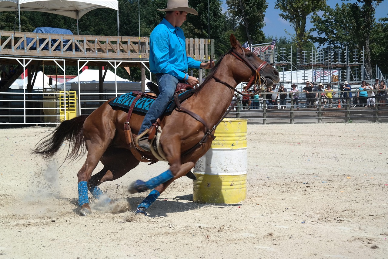 Horse racing