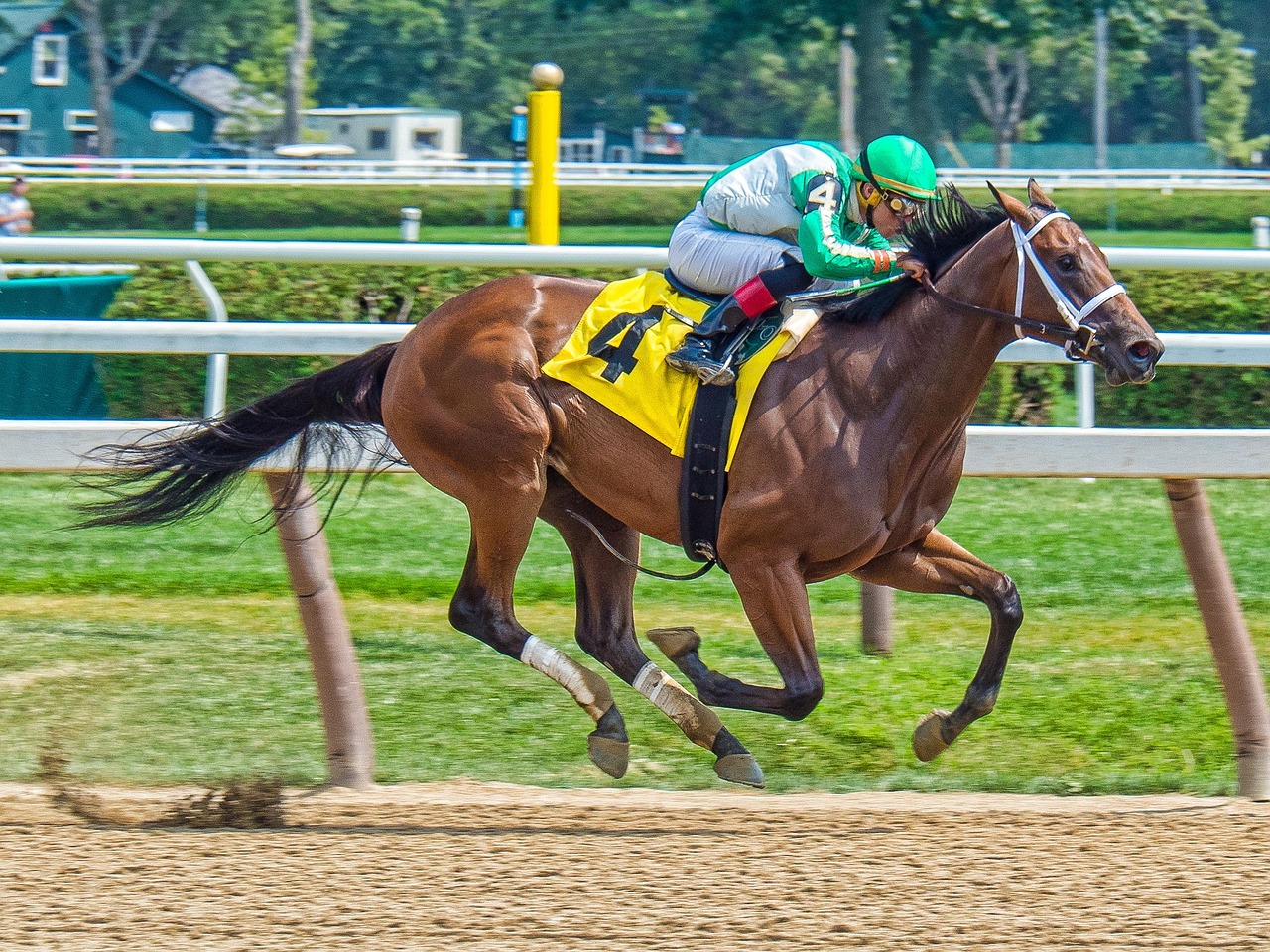 Sports betting